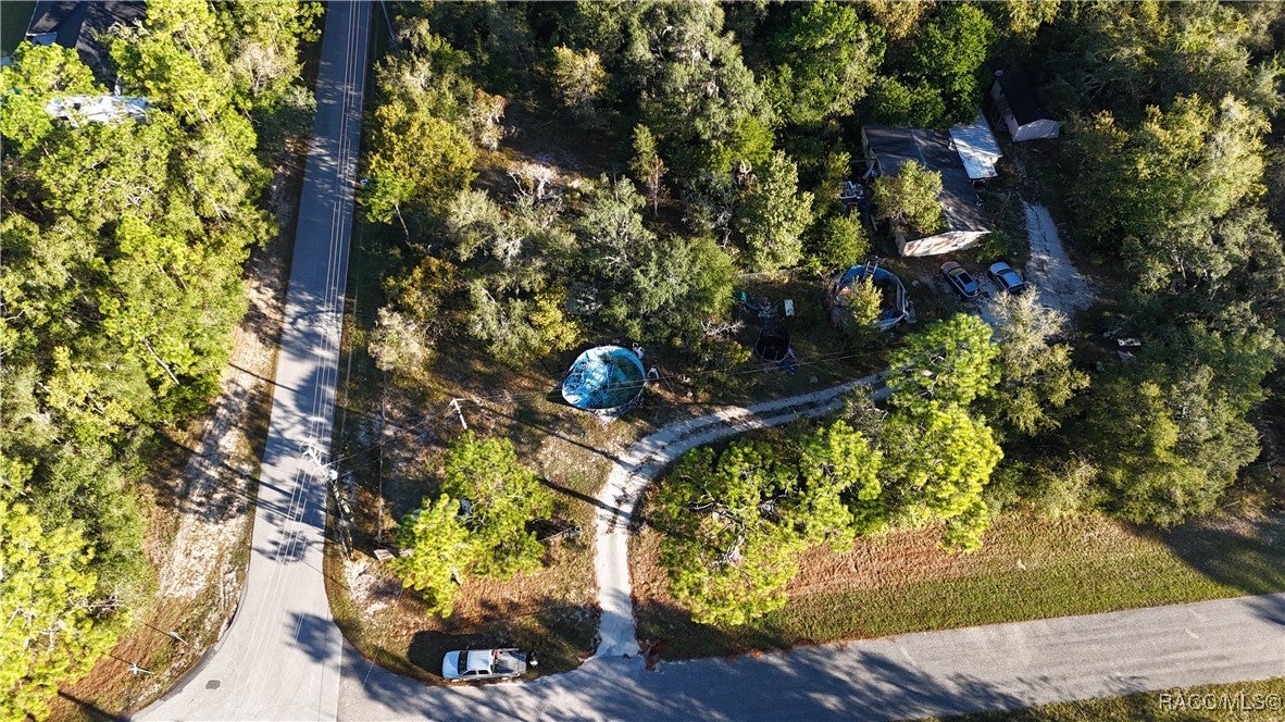 15423 Blair Ave, Brooksville, FL 34604