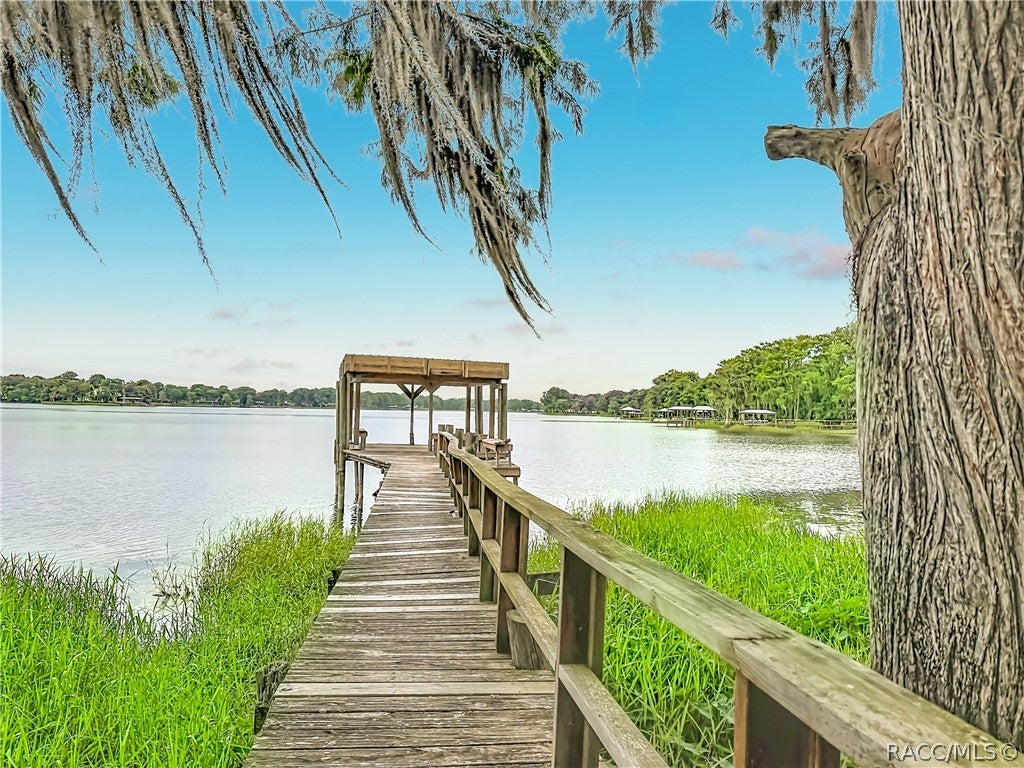 8980 Devilsneck Rd, Floral City, FL 34436