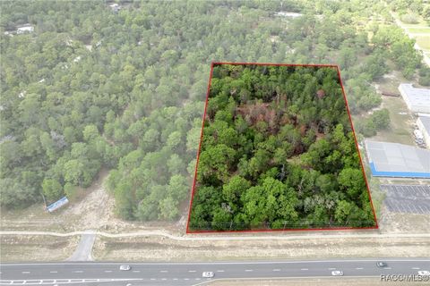Unimproved Land in Lecanto FL 137 E Gulf To Lake Highway.jpg