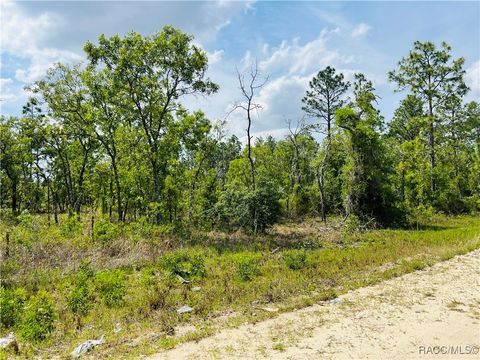Unimproved Land in Williston FL 0000 NE 132 Terrace.jpg