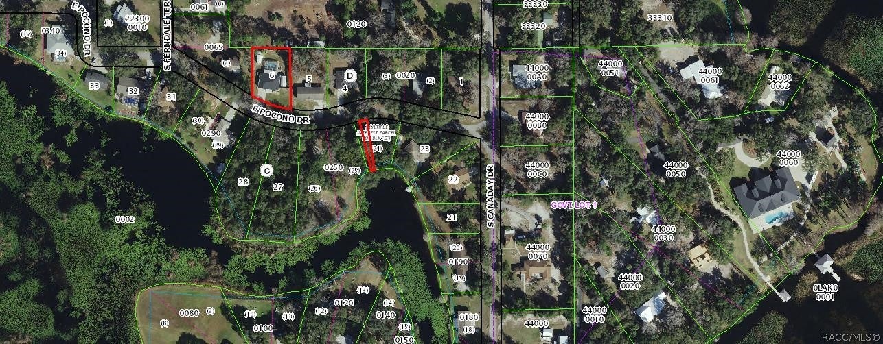 7739 E Pocono Dr, Inverness, FL 34450 photo