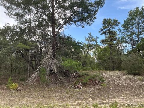 Unimproved Land in Beverly Hills FL 6378 W Settler Drive.jpg