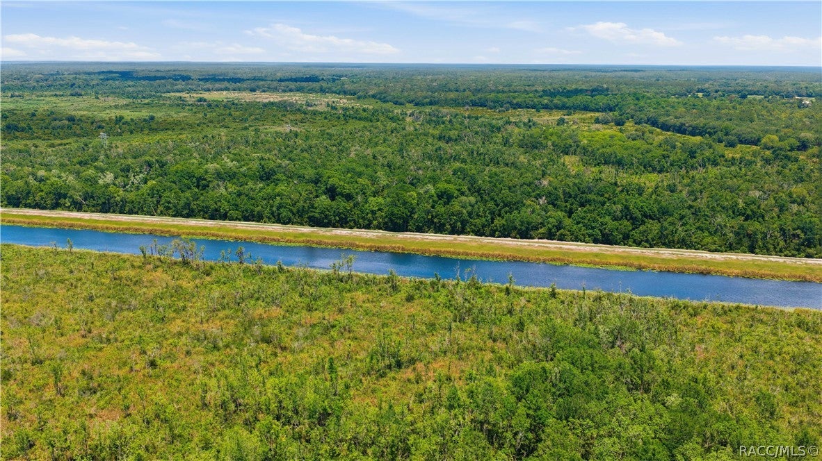 495 Fisher Rd, Ocklawaha, FL 32179 photo