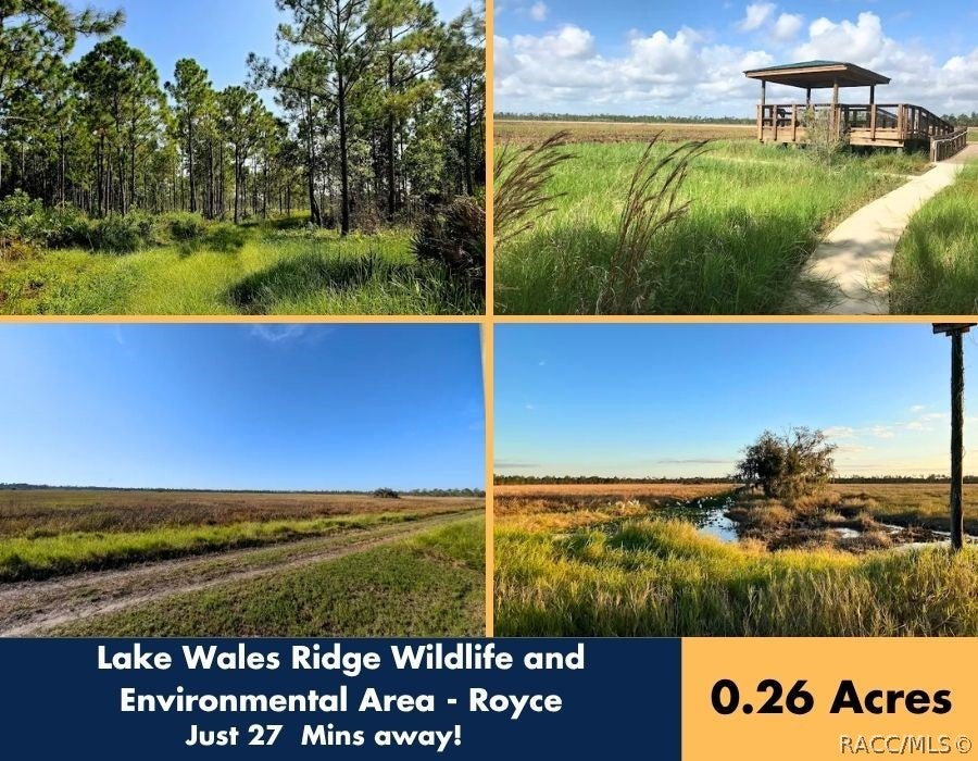 733 Washington Blvd, Lake Placid, FL 33852 photo