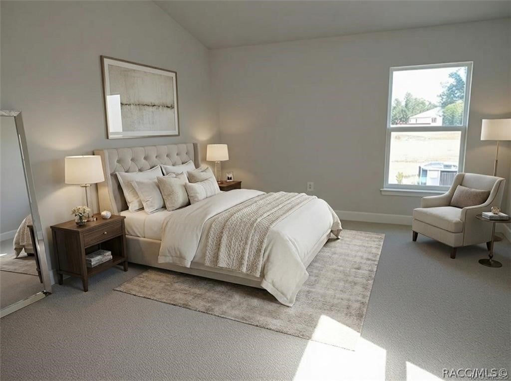 1220 Turnstone Terrace, Inverness, FL 34453 photo