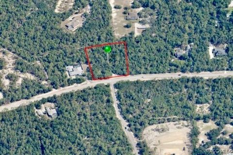 Unimproved Land in Beverly Hills FL 5283 W Mustang Boulevard.jpg