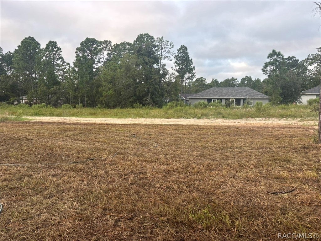 9328 N Cortlandt Dr, Dunnellon, FL 34434 photo
