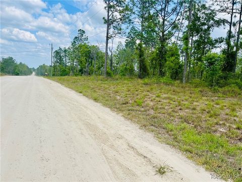 Unimproved Land in Williston FL 0000 NE 132 Terrace.jpg