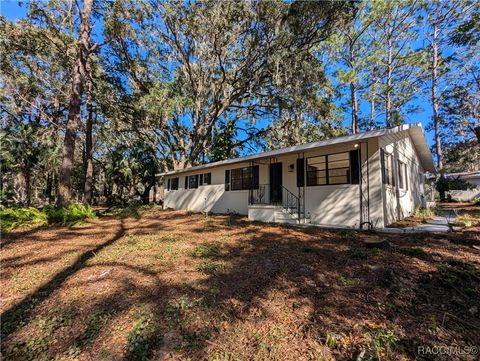 Single Family Residence in Lecanto FL 1741 N Crooked Branch Drive.jpg