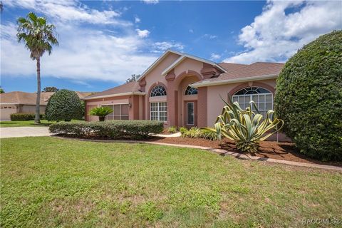 Single Family Residence in Lecanto FL 30 N Aspen Point.jpg