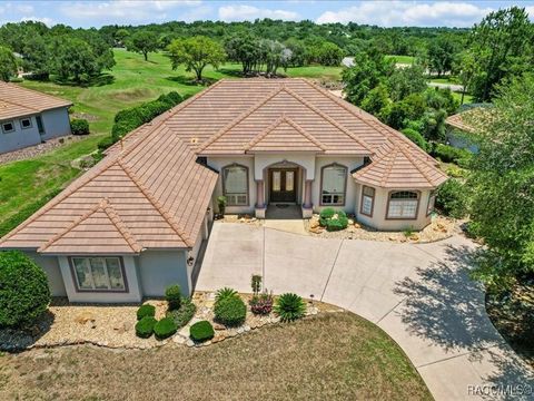 Single Family Residence in Lecanto FL 2622 N Carnoustie Loop.jpg