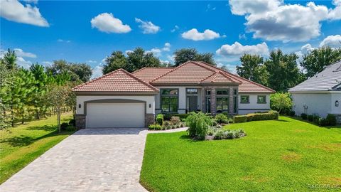 Single Family Residence in Hernando FL 2180 N Buckmeadow Loop.jpg