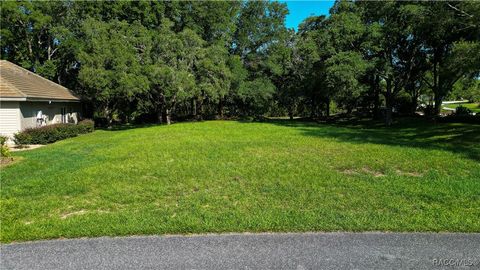 Unimproved Land in Lecanto FL 3117 N Barton Creek Circle.jpg