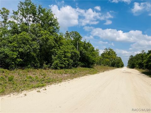 Unimproved Land in Williston FL 0000 NE 132 Terrace.jpg