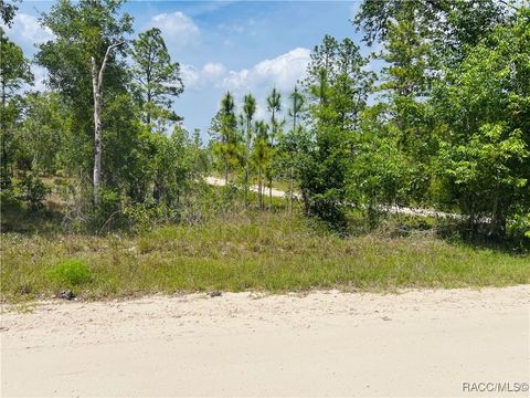 Unimproved Land in Williston FL 0000 NE 132 Terrace.jpg