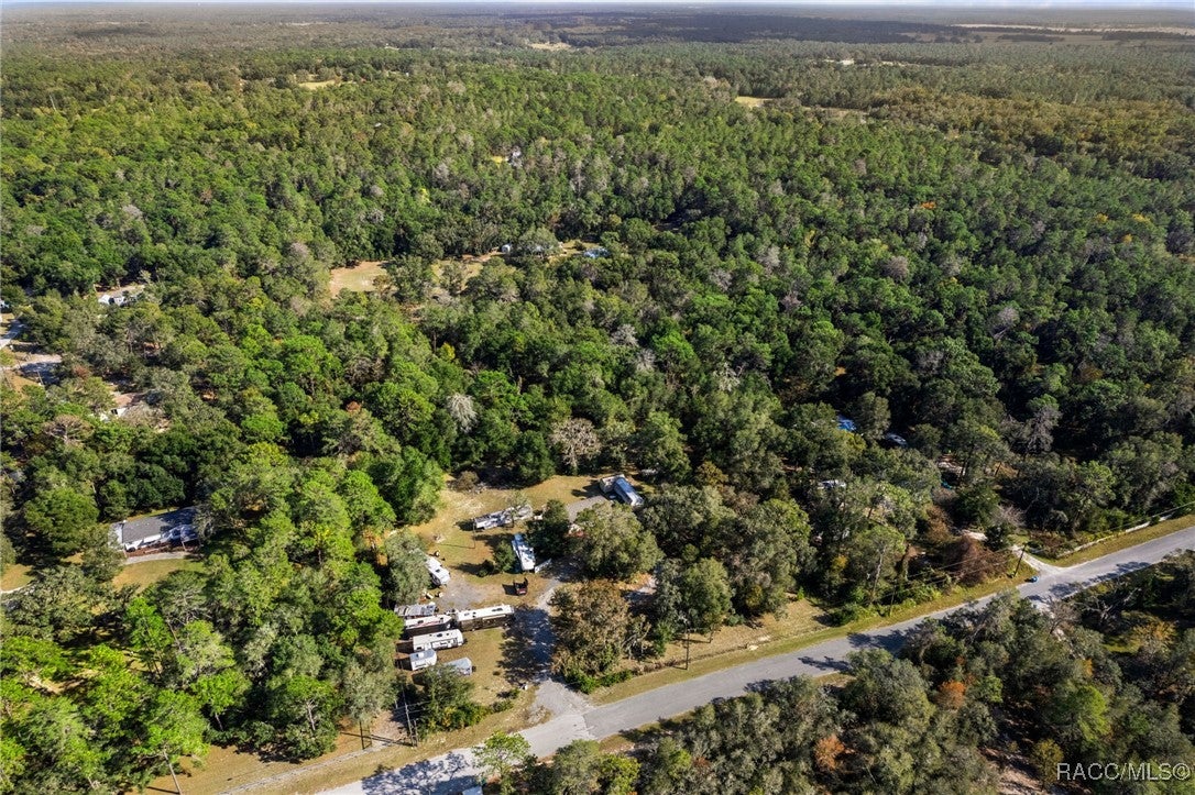 16362 Cherokee Rd, Brooksville, FL 34601 photo