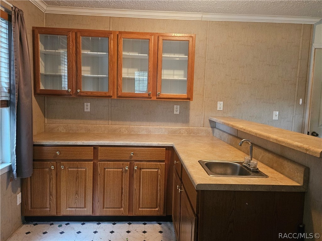2905 N Turkey Oak Dr, Crystal River, FL 34428 photo