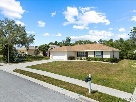 Single Family Residence in Lecanto FL 1322 S Brookfield Drive.jpg