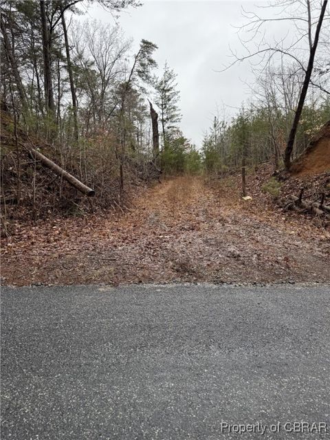 Unimproved Land in Dunnsville VA 6+ AC Cheaneys Bridge Road.jpg