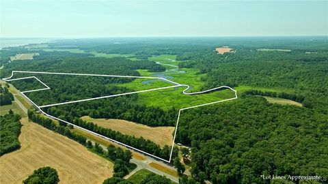  in Caret VA 115.1 Acres Tidewater Trail.jpg
