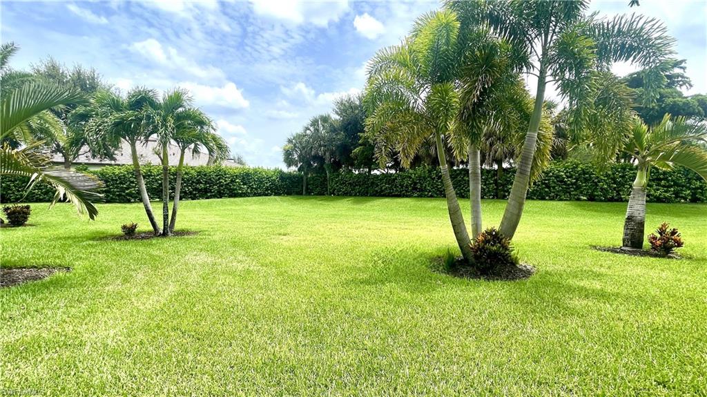 14310 Pine Hollow Dr, Estero, FL 33928 photo