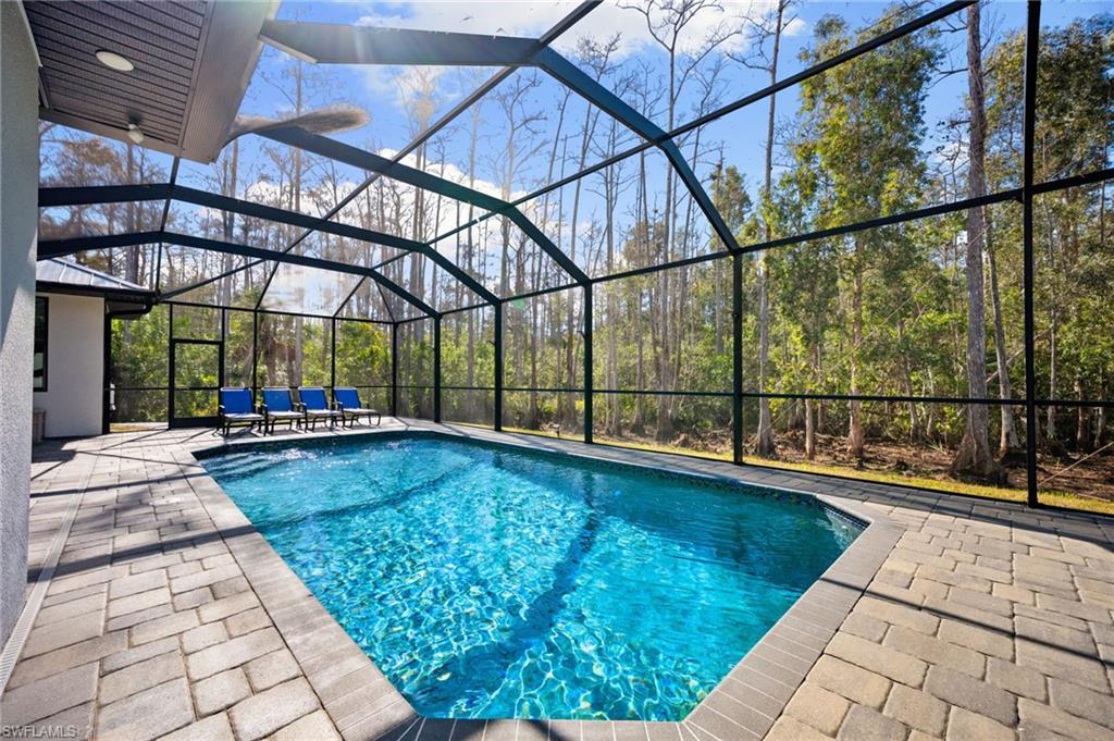 25526 Busy Bee Dr, Bonita Springs, FL 34135 photo