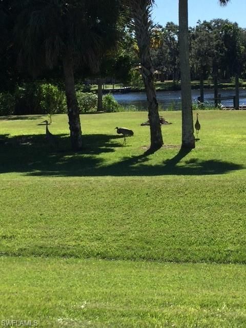 Single Family Residence in ALVA FL 21090 Captain Nelson CT 46.jpg