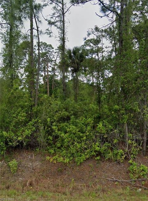  in LEHIGH ACRES FL 803 Abbott AVE.jpg