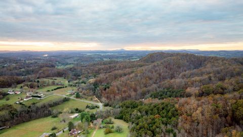  in Blountville TN 544 Ethel Beard.jpg