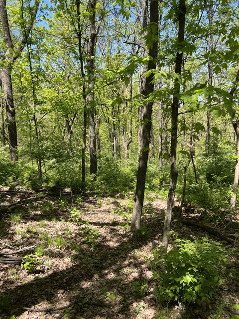  in Brentwood TN 1305 Robert E Lee Ln.jpg