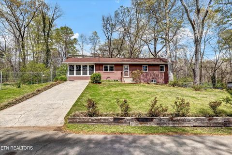 Single Family Residence in Louisville TN 4931 Island Home Rd.jpg
