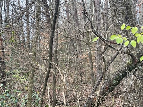 Unimproved Land in Chattanooga TN 4616 Vivian Drive.jpg
