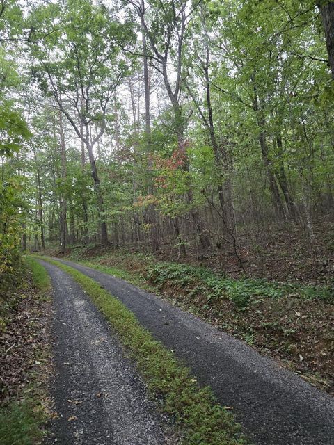 Farm in Ringgold GA 0 Taylors Ridge Road.jpg