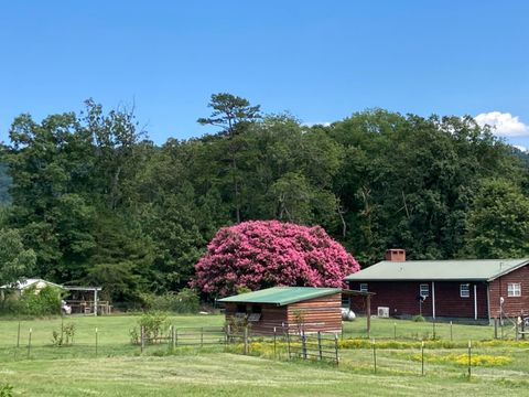 Farm in Trion GA 1570 Halls Valley Road.jpg