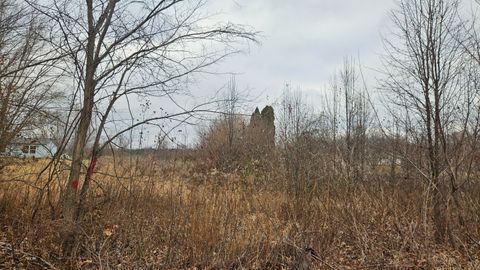 Unimproved Land in Valparaiso IN 333 400.jpg