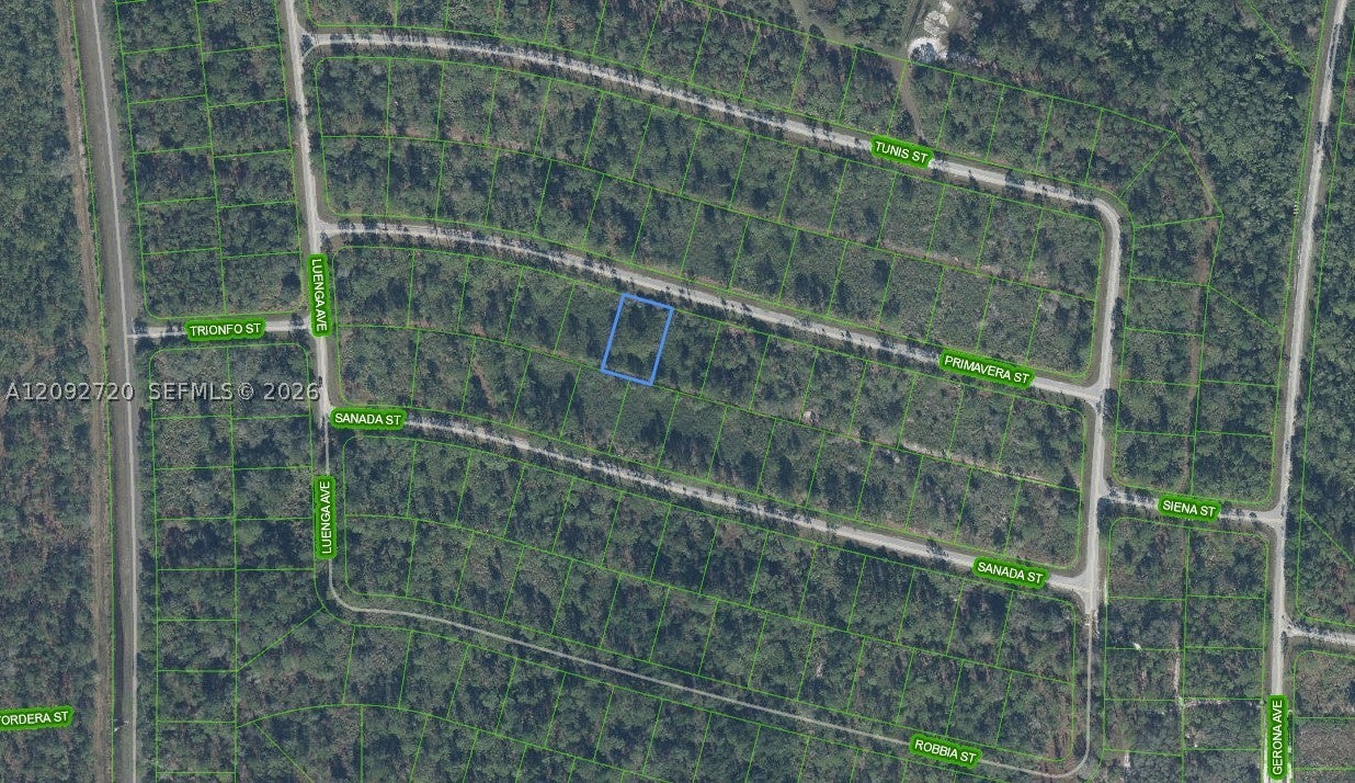 8649 Primavera St, Sebring, FL 33872