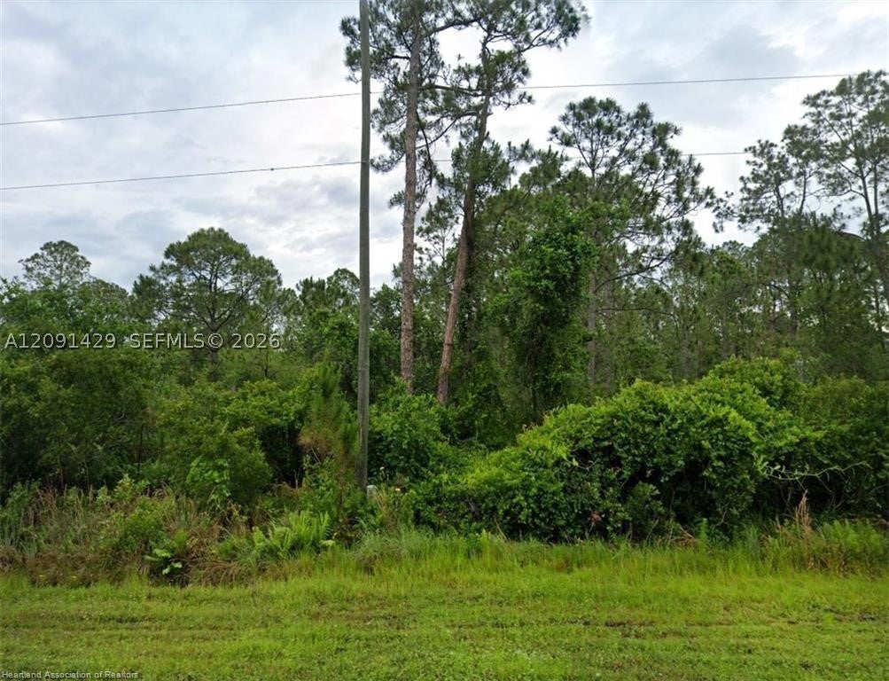 7004 Mona Ave, Sebring, FL 33872 photo
