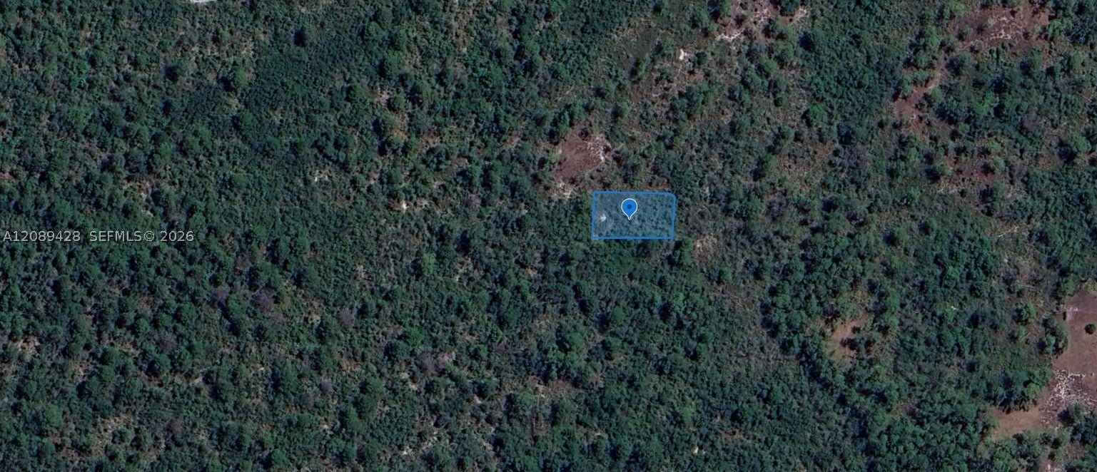 305 Dolly Ln, Lake Placid, FL 33852 photo
