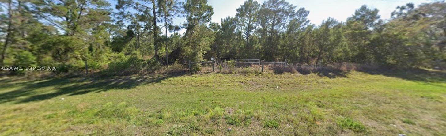 305 Dolly Ln, Lake Placid, FL 33852 photo