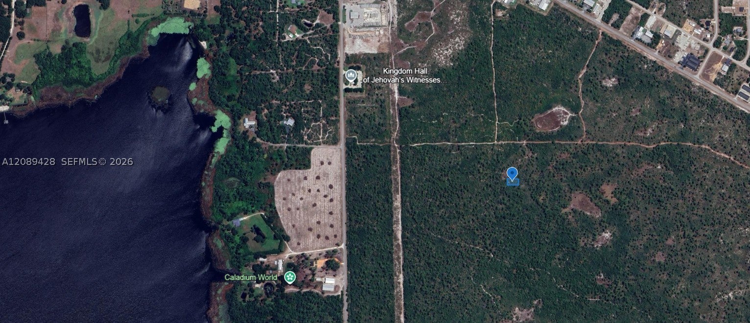 305 Dolly Ln, Lake Placid, FL 33852 photo