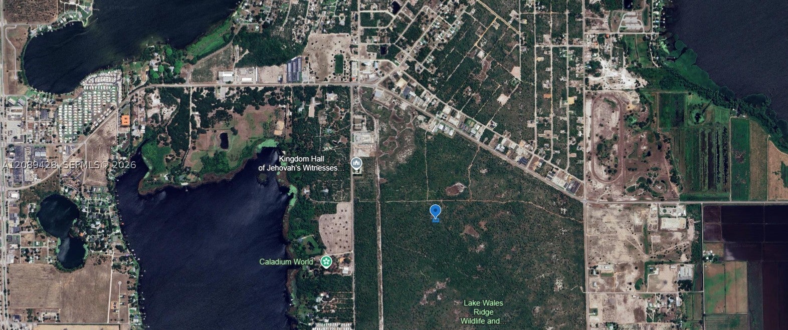 305 Dolly Ln, Lake Placid, FL 33852 photo