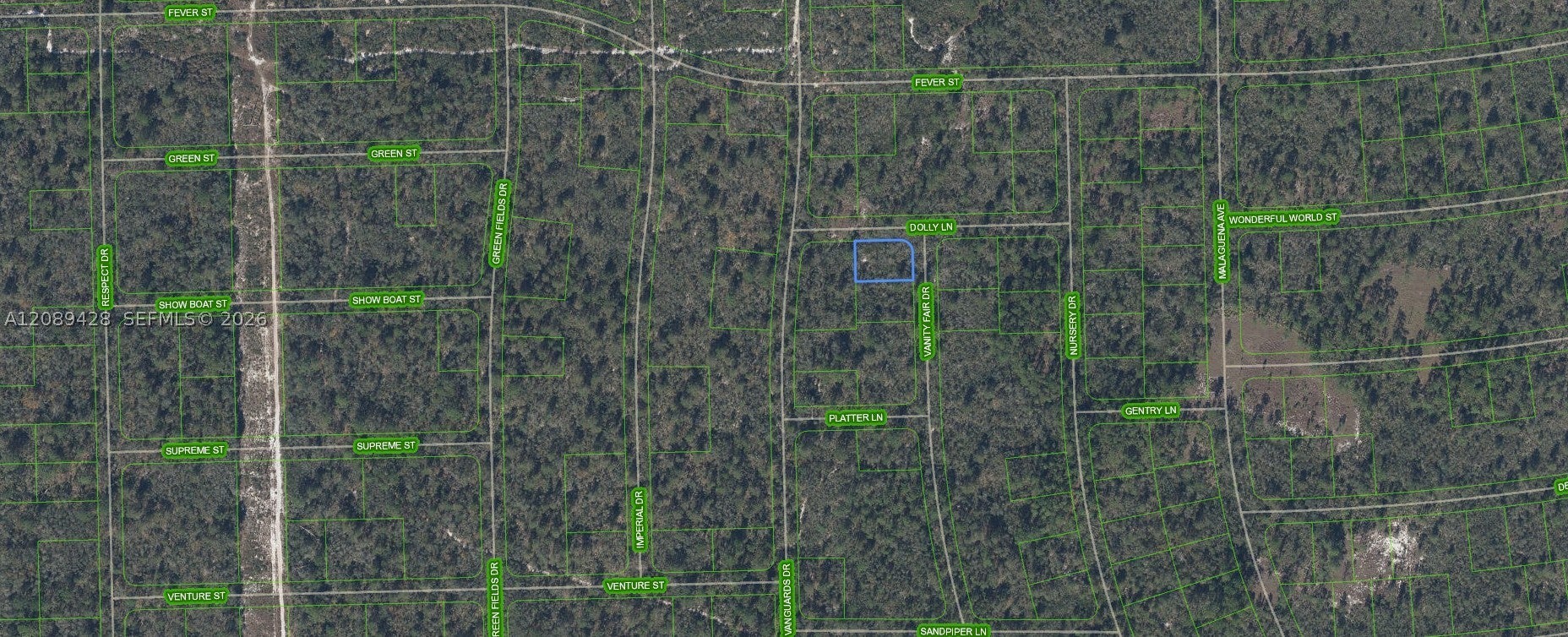 305 Dolly Ln, Lake Placid, FL 33852