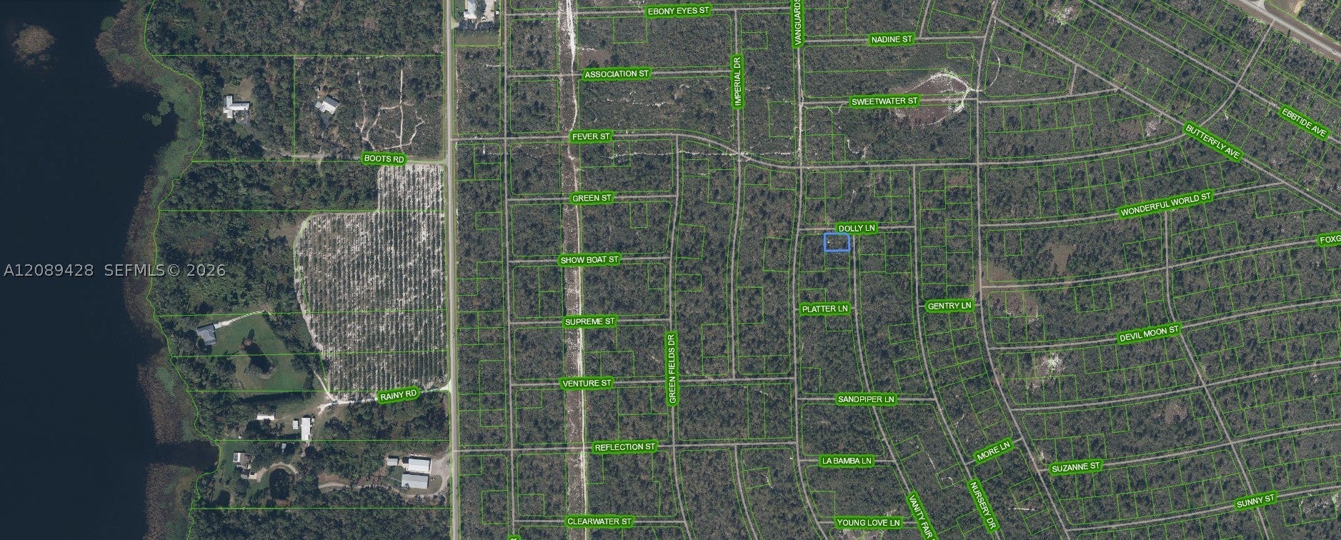 305 Dolly Ln, Lake Placid, FL 33852 photo