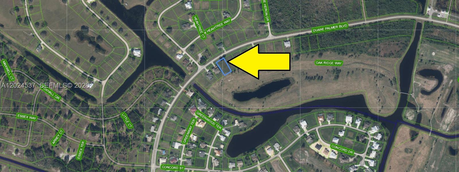 1613 Duane Palmer, Sebring, FL 33876