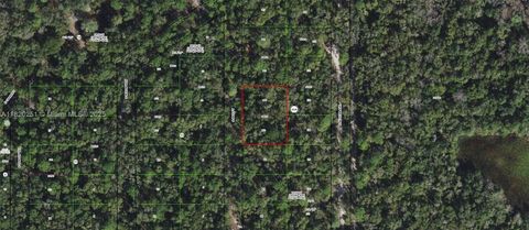  in Inverness FL 3927 S Ibis Point.jpg