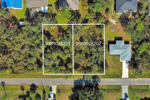  in North Port FL #1 & #2 Sargon Ave.jpg