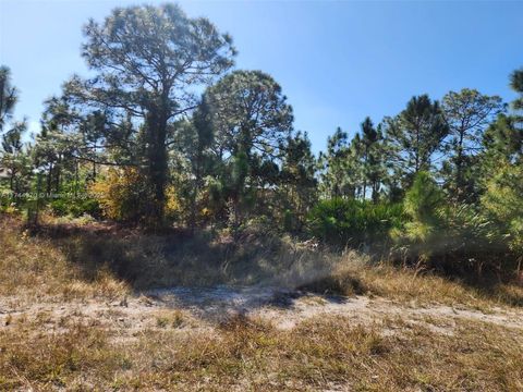  in Lehigh Acres FL 2719 50 W.jpg