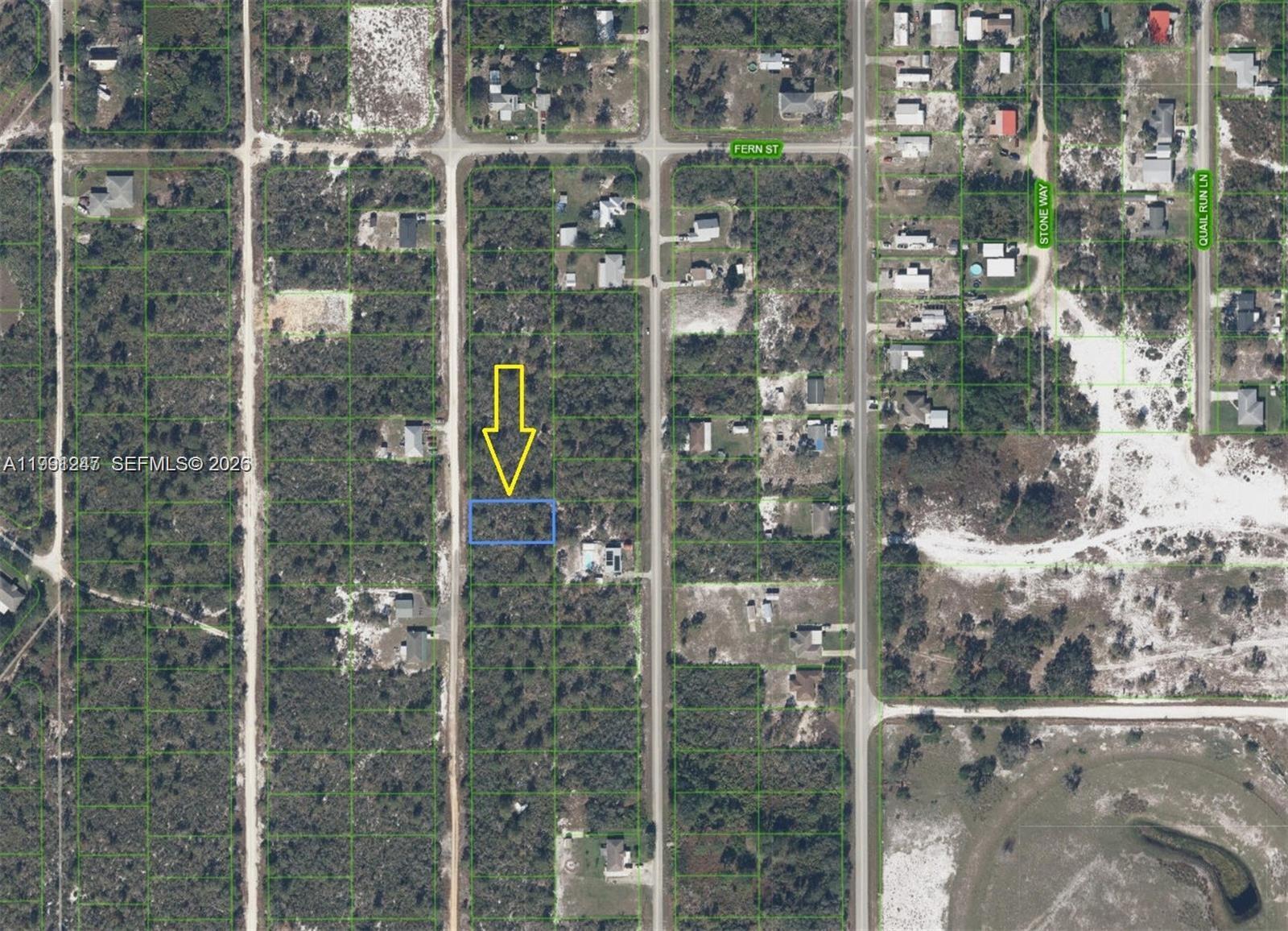 123 Dartmoor Ave, Lake Placid, FL 33852 photo