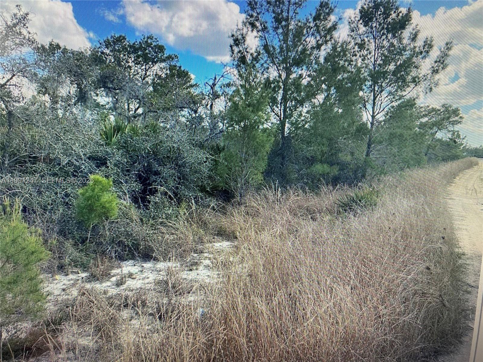 123 Dartmoor Ave, Lake Placid, FL 33852 photo