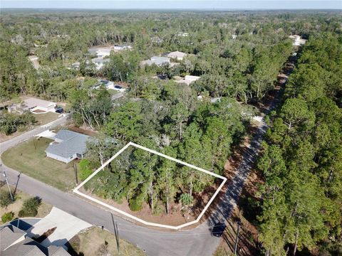 Unimproved Land in Other City - In The State Of Florida FL Guava Pass.jpg